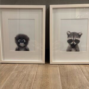 Baby Monkey & Raccoon framed black & white prints Woodland animals PBK